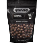 Squat Carp Hotové Boilies Calanus 5 kg 20 mm – Hledejceny.cz