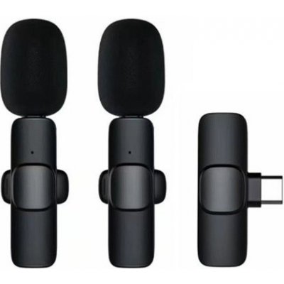 Externí mikrofon 2v1 pro mobilní telefon, typ C, barva černá – Zboží Živě