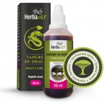 Herbavis SANGRE DE DRAGO DRAČÍ KREV kapky 60 ml – Hledejceny.cz