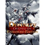 Divinity: Original Sin (Enhanced Edition) – Hledejceny.cz