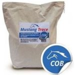 Mustang Trace Minerální doplněk pro koně 9 kg – Hledejceny.cz