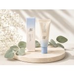 Beauty of Joseon Relief Sun Aqua Fresh Rice + B5 SPF50+ PA 50 ml ++++ - Lehký opalovací krém – Sleviste.cz