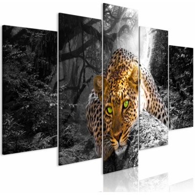 Obraz - Leopard Lying (5 Parts) Wide Grey – Zboží Mobilmania