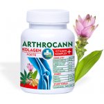 Annabis Arthrocann Kolagen Vitamin Komplex 60 tablet – Zbozi.Blesk.cz