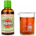 Bylinné kapky Sliznice – bylinná tinktura 50 ml – Hledejceny.cz