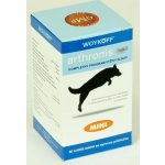 Arthronis fáze 1 Mini 60 tbl – Hledejceny.cz