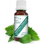 Karel Hadek Meduňka Indicum Éterický olej 10 ml – Zboží Mobilmania