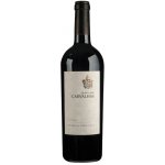 Quinta das Carvalhas Touriga Nacional DOP 14% 0,75 l (holá láhev) – Hledejceny.cz