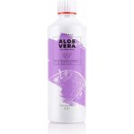 Essens Aloe Vera 99.5% Gel Drink jablko + acai 500 ml – Hledejceny.cz