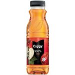 Cappy Džus jablko 100% 12 x 330 ml – Zboží Dáma