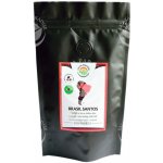 Salvia Paradise Brasil Santos zrnková 0,1 kg – Hledejceny.cz