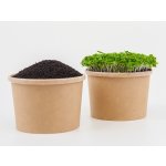 Tiny Greens Bazalka Pure - BIO semínka na klíčení a microgreens Množství: 50g – Zboží Mobilmania