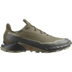 Salomon Alphacross 4 GTX M L47116900 olive night black moss gray – Zboží Mobilmania