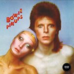 Bowie David - Pin Ups LP – Hledejceny.cz