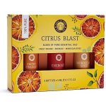 Song of India Essential Oil Aromaterapeutický set Citrus Blast 3 x 5 ml – Hledejceny.cz