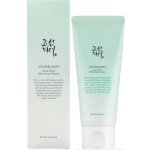 Beauty of Joseon Green Plum Refreshing Cleanser 100 ml – Zboží Dáma