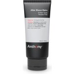 Anthony balzám po holení 90 ml – Hledejceny.cz