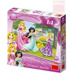 Dino Walt Disney Princezny flor 24 dílků – Zbozi.Blesk.cz