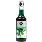 Rioba sirup Mint 0,7 l – Zboží Mobilmania