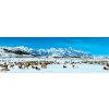 Puzzle Masterpieces Elk Refuge Wyoming 1000 dílků