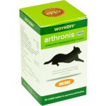 Rosen Pharma Arthronis fáze 2 Mini 60 tbl – Hledejceny.cz