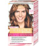 L'Oréal Excellence Creme Triple Protection 6.41 hnědá oříšková – Zboží Mobilmania