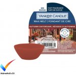 Yankee Candle Autumn Daydream vonný vosk 22 g – Hledejceny.cz