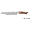 Kuchyňský nůž Dictum Japonský nůž Saji Hocho Gyuto Fish and Meat Knife 240 mm