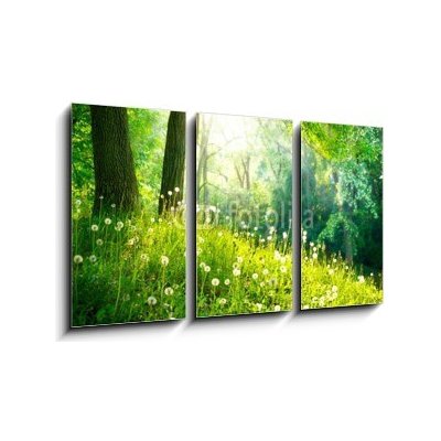 Obraz 3D třídílný - 90 x 50 cm - Spring Nature. Beautiful Landscape. Green Grass and Trees Jarní příroda. Krásná krajina. Zelená tráva a stromy – Hledejceny.cz