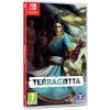 Hra na Nintendo Switch Terracotta