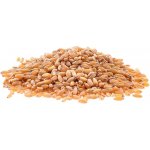 Aso Zdravý život Tvrdá pšenice Bio 1000g – Zboží Mobilmania