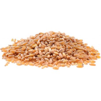 Aso Zdravý život Tvrdá pšenice Bio 25kg