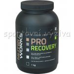 NutriWorks Pro Recovery 1000 g – Zboží Dáma