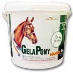 Orling Gelapony Vitamin 1,8 kg – Hledejceny.cz