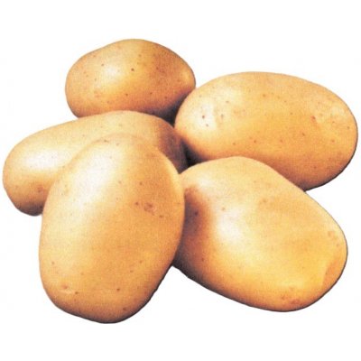 Sadbové brambory BALLERINA rané 5kg – Hledejceny.cz