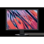 Eizo CS2400S – Sleviste.cz