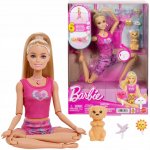 Barbie Meditační panenka JJN55 – Zboží Dáma