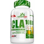 Amix GreenDay CLA 1000 90 kapslí – Zboží Dáma