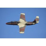 Let stíhačkou L-29 Delfín – Hledejceny.cz
