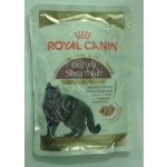 Royal Canin British Shorhair 85 g – Zboží Mobilmania