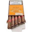 Partagas - Chicos / 5ks