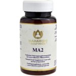 Maharishi Ayurveda MA 2 100 tablet – Hledejceny.cz