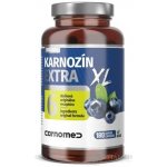 CarnoMed Karnosin EXTRA XL 180 ks – Hledejceny.cz