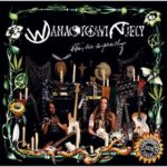 Wanastowi Vjecy Lži,sex a prachy LP – Hledejceny.cz