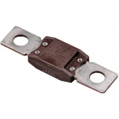 Pojistka MEGA 100A – Hledejceny.cz