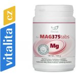Finclub Fin Mag375tabs 140 tablet – Hledejceny.cz