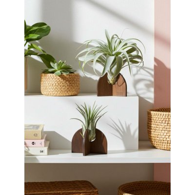 WoodenBotanery Stojan na tilandsii Geo M trojúhelník – Zboží Dáma