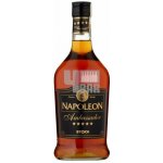 Fernet Stock Napoleon Ambassador 28% 0,7 l (holá láhev) – Zbozi.Blesk.cz