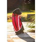 Vsepropejska Faraon bunda pro psa na ZIP – Sleviste.cz