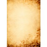 diplomy Adagio 170g 25ks – Zboží Dáma